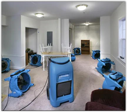 Contents Cleaning & Restoration in Thief River Falls, MN