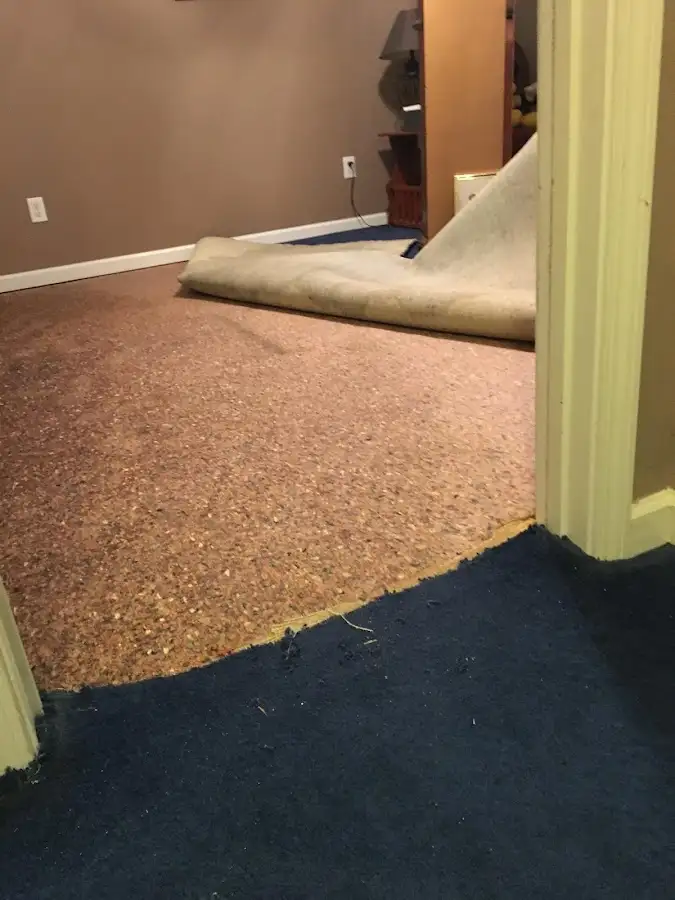 Carpet pad removal revealing water damage during Water Mitigation Services in Thief River Falls