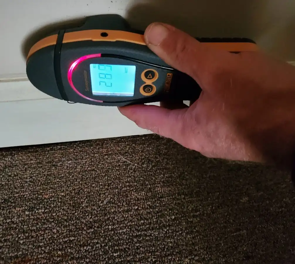 Moisture detection at baseboard during Storm Damage Restoration in Thief River Falls